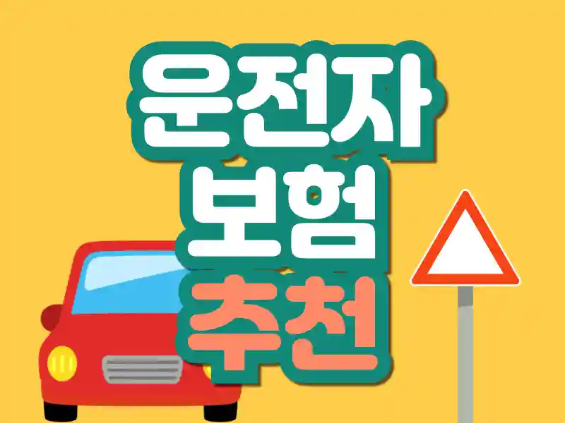 자동차 사고 유형별 보장 분석